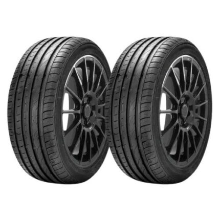 Kit 2 Pneu Aptany Aro 17 RA301 205/50R17 93W xl